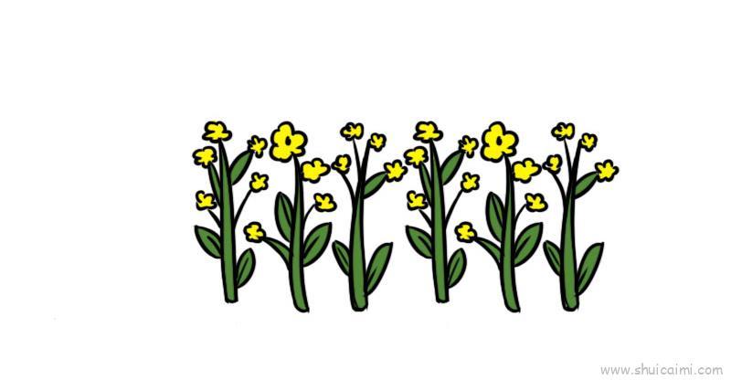 小油菜儿童画怎么画 小油菜简笔画好看