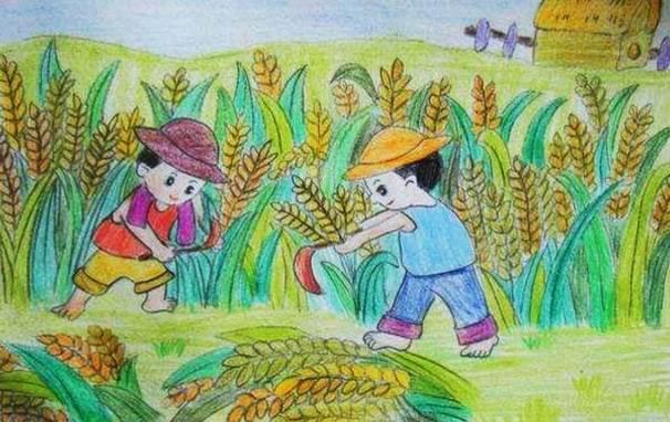 稻穗简笔画 稻穗简笔画图片