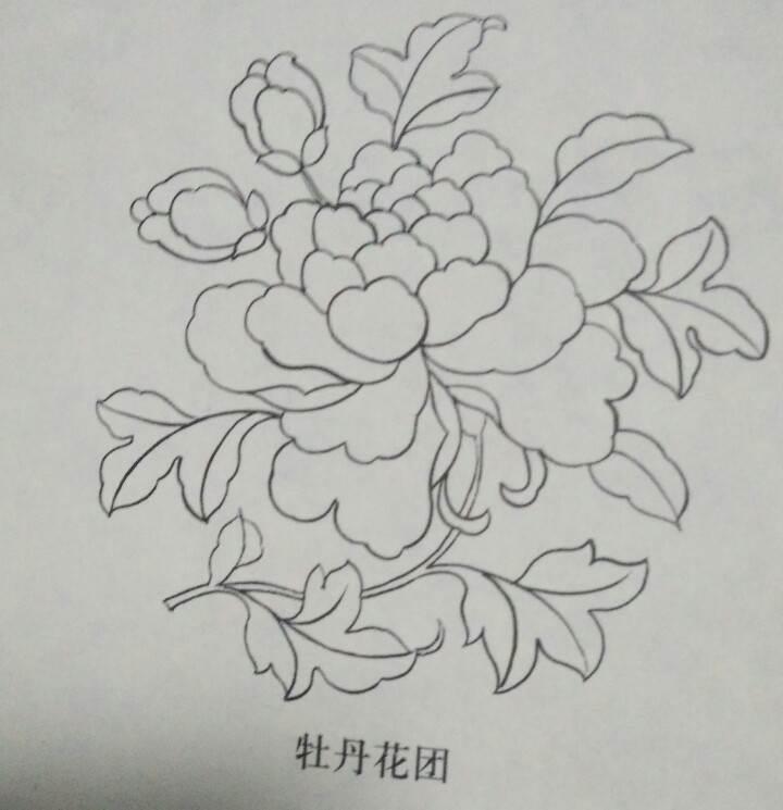 牡丹花的简笔画 牡丹花的简笔画简单漂亮