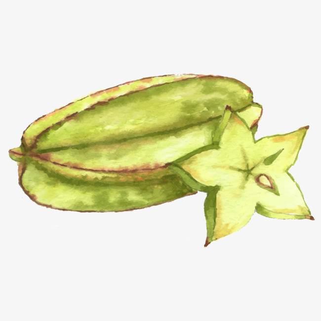 杨桃简笔画 杨桃简笔画简单又好看