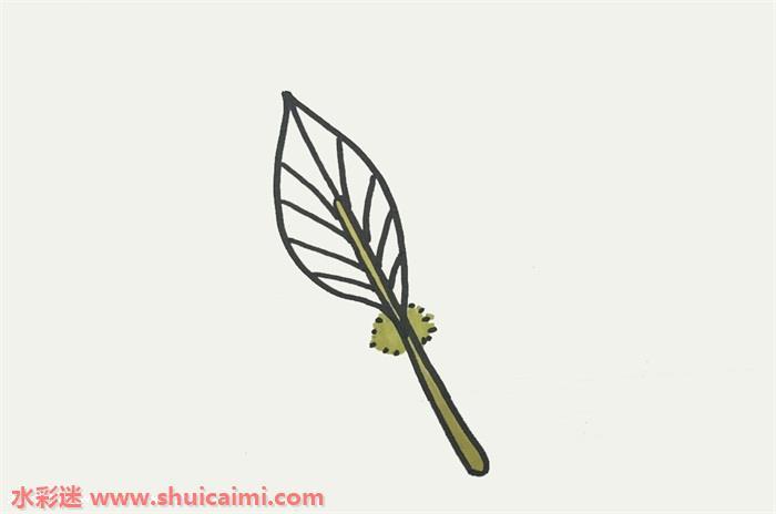 羽毛怎么画 羽毛简笔画步骤图