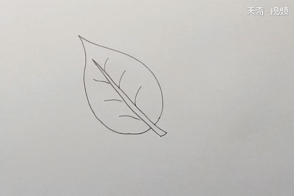 树叶简笔画怎么画 树叶简笔画顺序