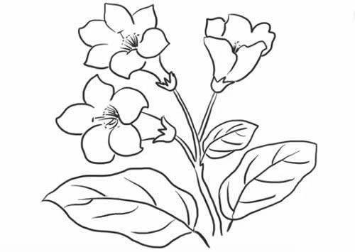 画植物简笔画 儿童画植物简笔画