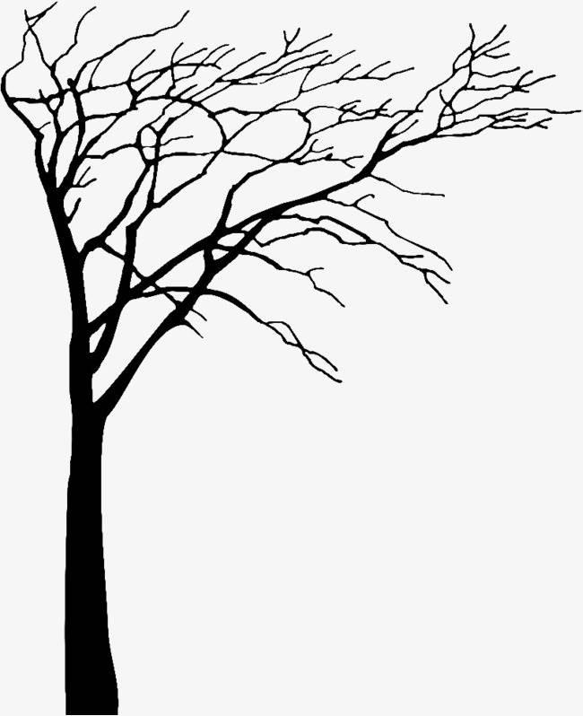 树的简笔画 树的简笔画大树