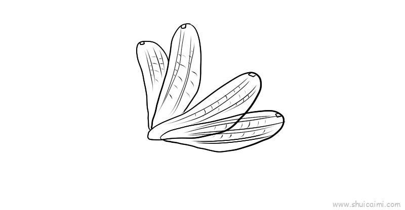 蜻蜓的翅膀怎么画？（蜻蜓翅膀简笔画教程）