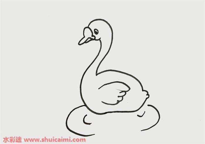 天鹅怎么画 天鹅简笔画简单彩色