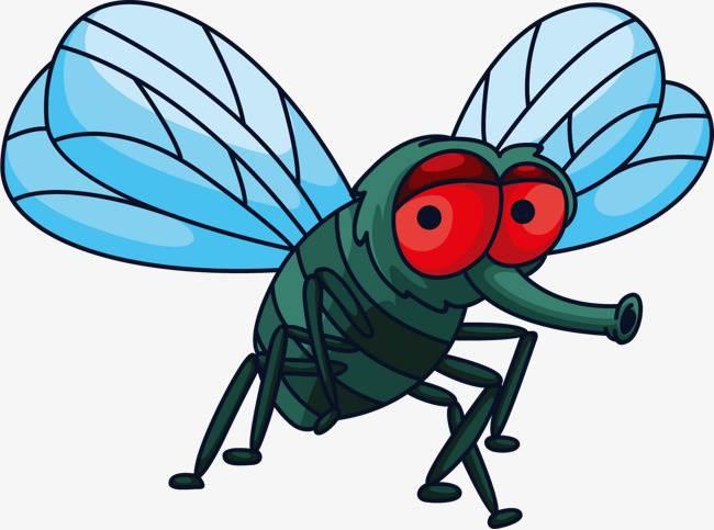 苍蝇简笔画 苍蝇简笔画彩色