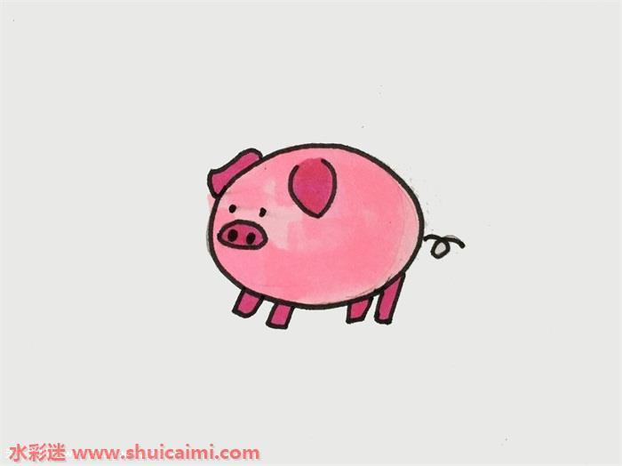 小猪怎么画 小猪简笔画图片彩色