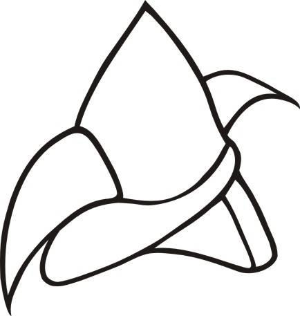 端午元素手绘简笔画 端午节元素手绘图片