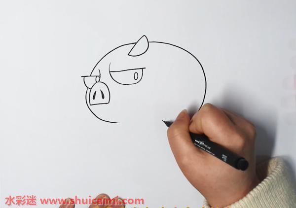 猪怎么画 猪简笔画漂亮卡通