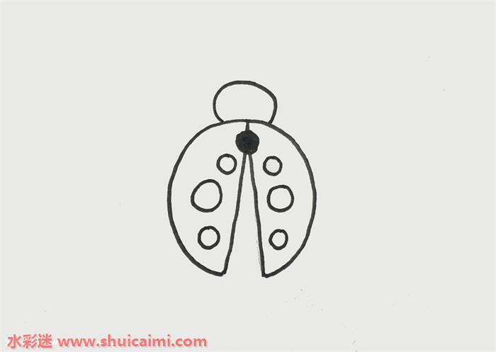 瓢虫怎么画 瓢虫简笔画简单又漂亮彩色
