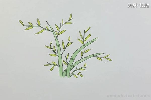 竹子简笔画怎么画 竹子简笔画简单