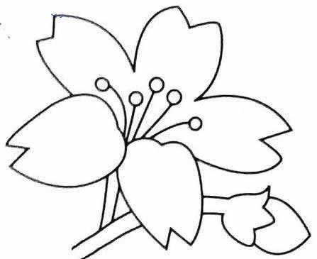 桃花简笔画图片大全 桃花简笔画图片大全带颜色