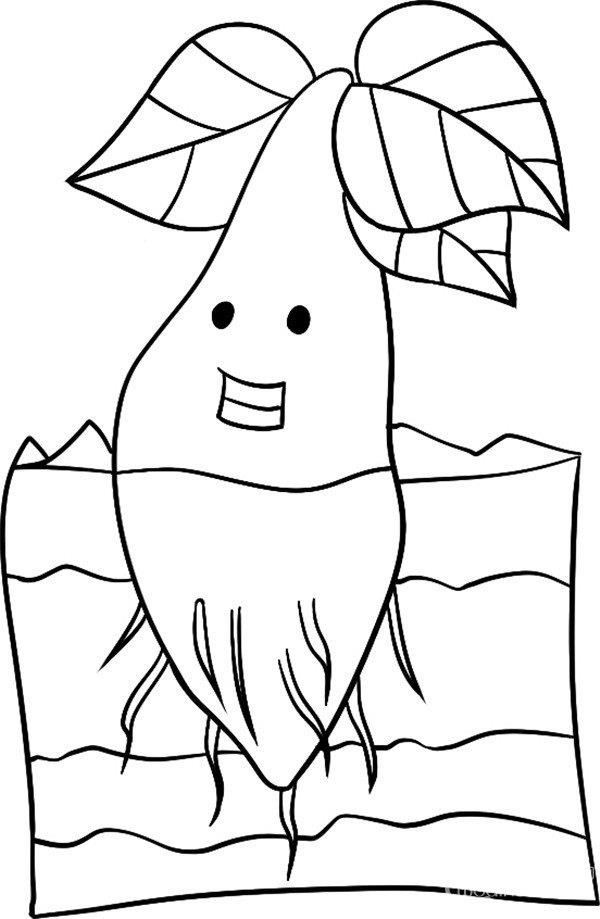 幼嫩的小树的简笔画怎么画 幼嫩的小树简笔画顺序