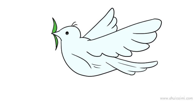 和平鸽儿童画怎么画 和平鸽简笔画简单