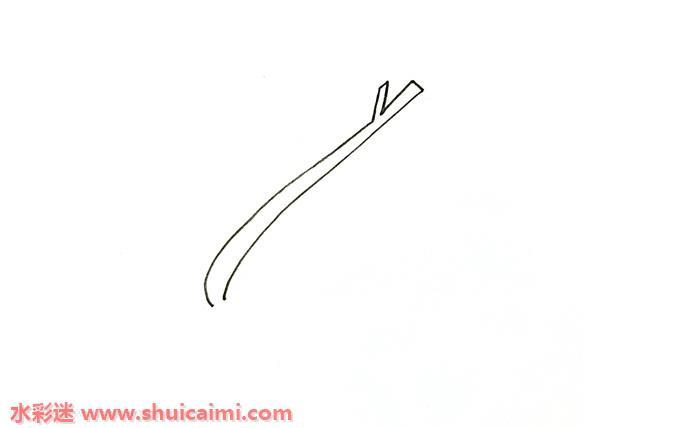 芹菜怎么画 芹菜简笔画简单彩色