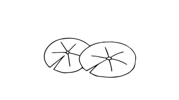 睡莲简笔画怎么画 睡莲简笔画顺序