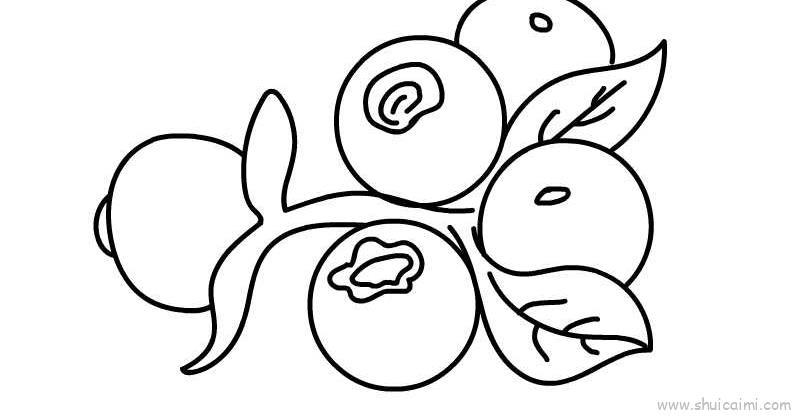 蓝莓儿童画怎么画 蓝莓简笔画顺序