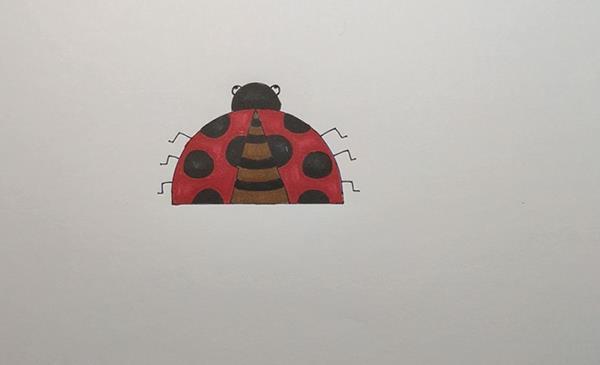 甲壳虫简笔画怎么画 甲壳虫简笔画图片大全