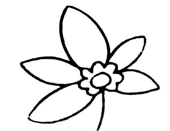 花草简笔画图片大全 儿童画花草简笔画图片大全