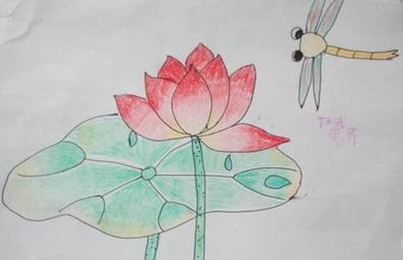 荷花荷叶简笔画 荷花荷叶简笔画彩色