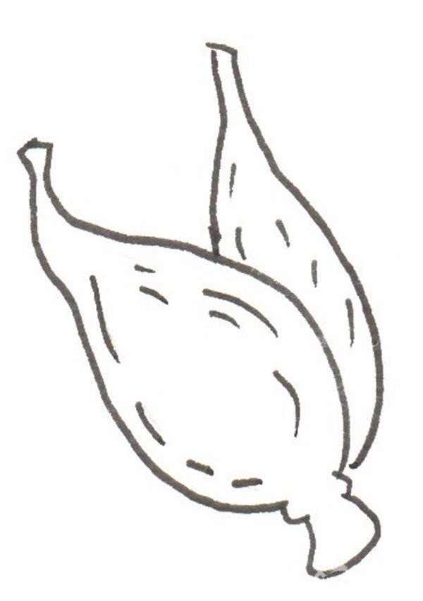 玉米的简笔画怎么画 玉米的简笔画简单又好看