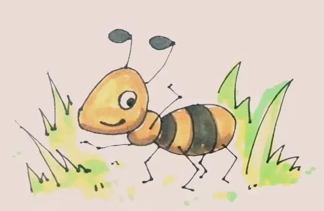 蚂蚁的简笔画 蚂蚁的简笔画图片
