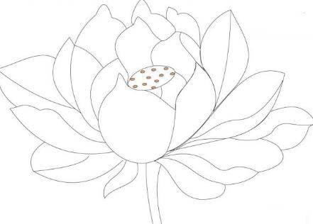 莲花简笔画 莲花简笔画图片大全大图