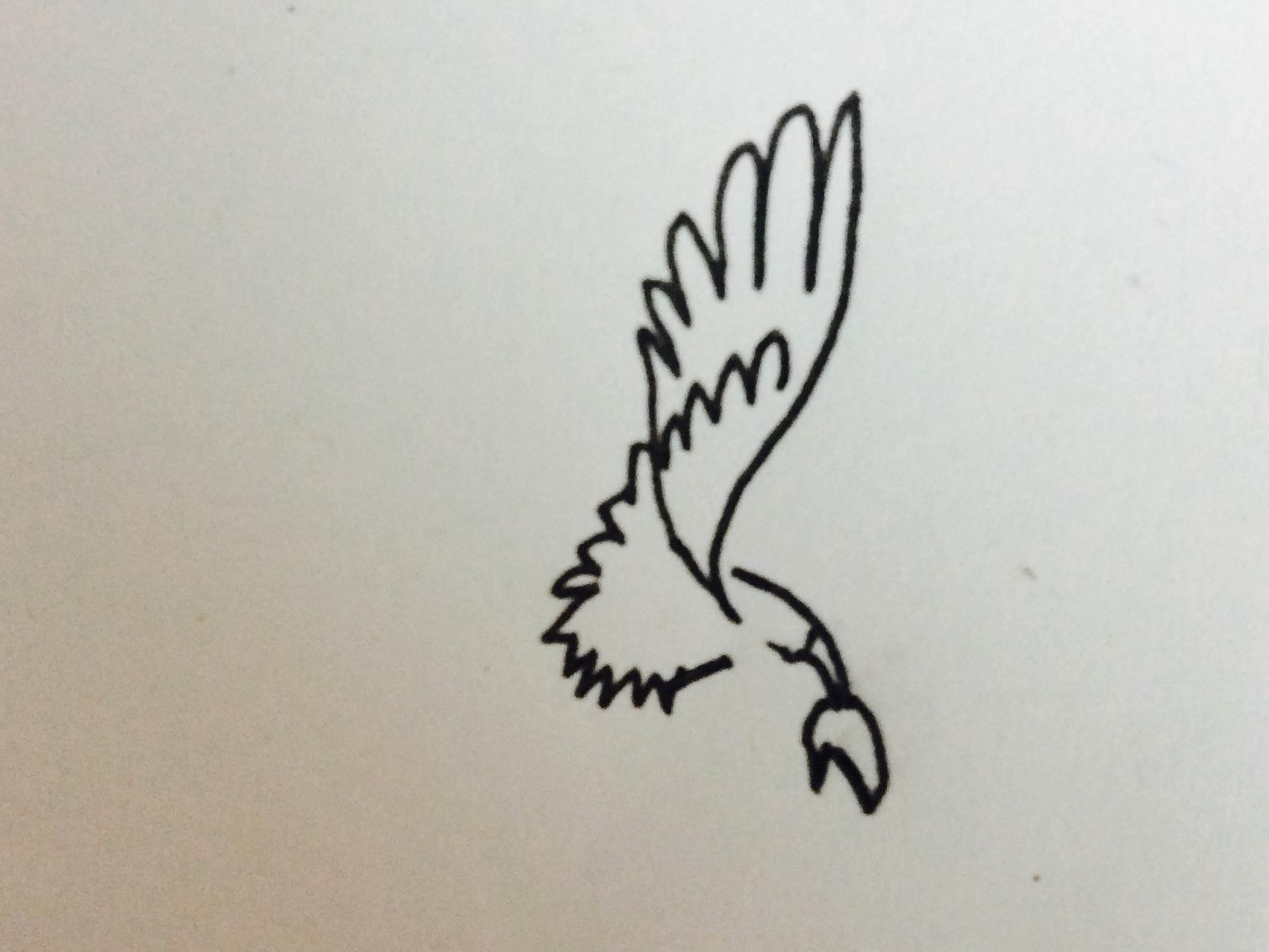 鹰简笔画 鹰简笔画图片