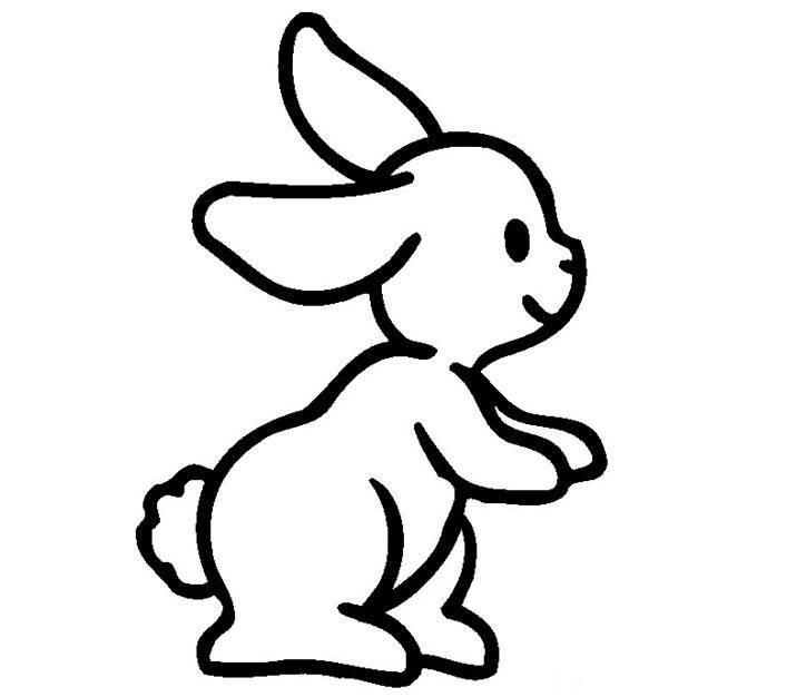 简笔画动物 简笔画动物图片大全