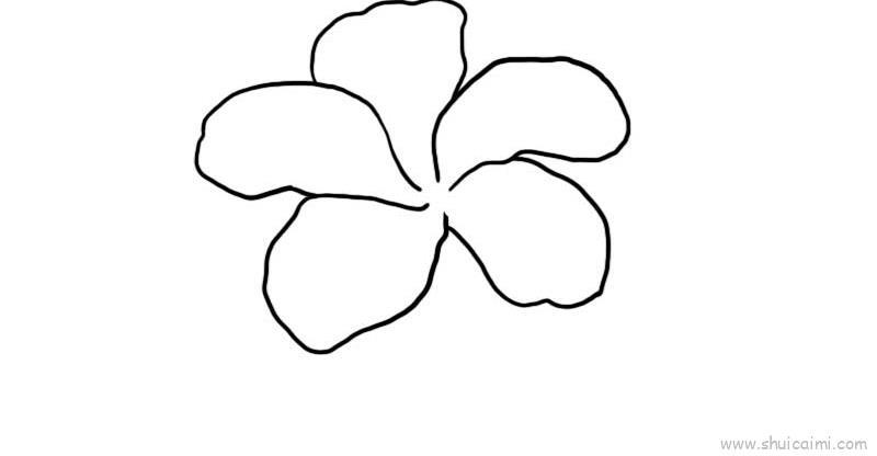 扶桑花儿童画怎么画 扶桑花简笔画顺序
