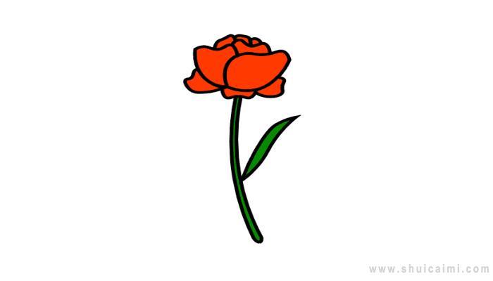 罂粟花简笔画怎么画 罂粟花简笔画图片