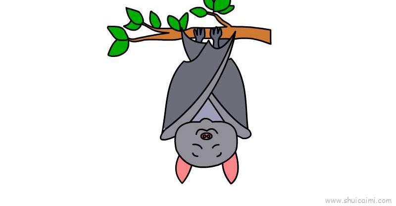 蝙蝠儿童画怎么画 蝙蝠简笔画图片大全