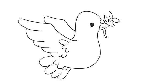 和平鸽的简笔画图片大全 和平鸽的简笔画图片大全彩色