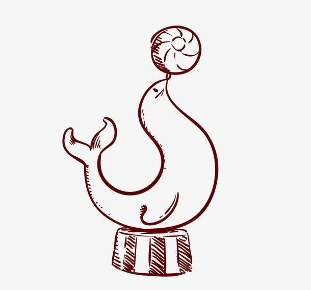 海象简笔画图片大全 海象简笔画图片大全大图