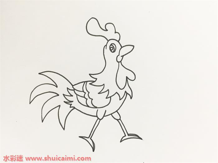 艳丽大公鸡画怎么画 艳丽大公鸡画简笔画图片带颜色