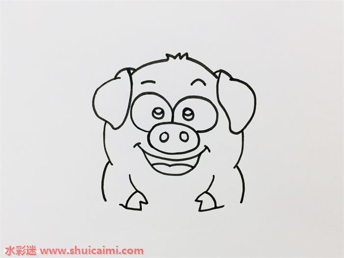 小猪简笔画怎么画漂亮彩色