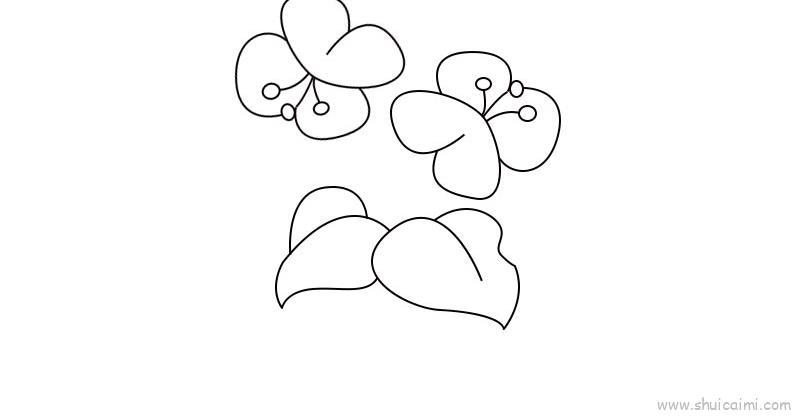 蝴蝶兰儿童画怎么画 蝴蝶兰简笔画好看