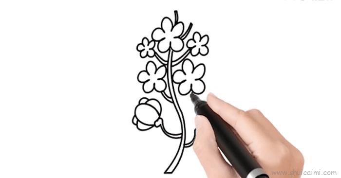 油菜花儿童画怎么画 油菜花简笔画图片大全