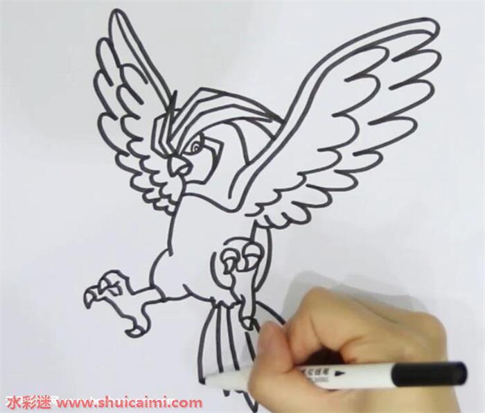 比比鸟怎么画 比比鸟简笔画步骤