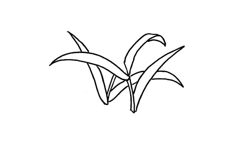 麦穗的简笔画怎么画 麦穗简笔画画法