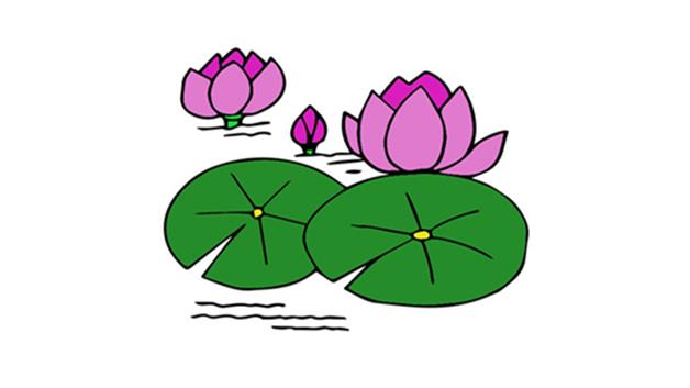 睡莲简笔画怎么画 睡莲简笔画顺序