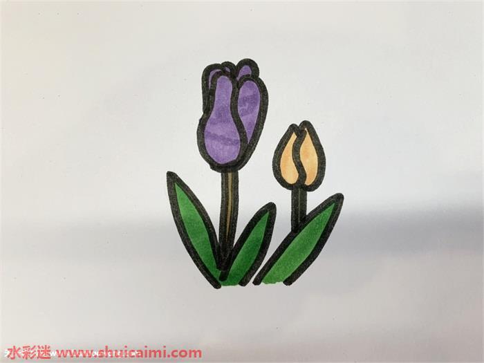 花瓣怎么画 好看花瓣简笔画简单彩色