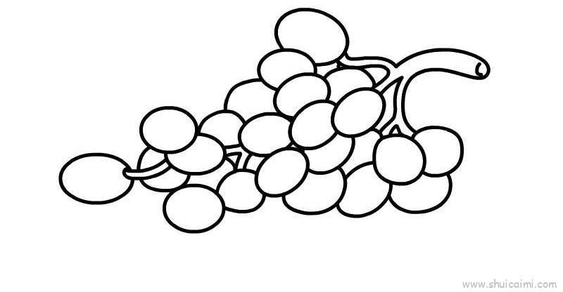 提子儿童画怎么画 提子简笔画图片大全