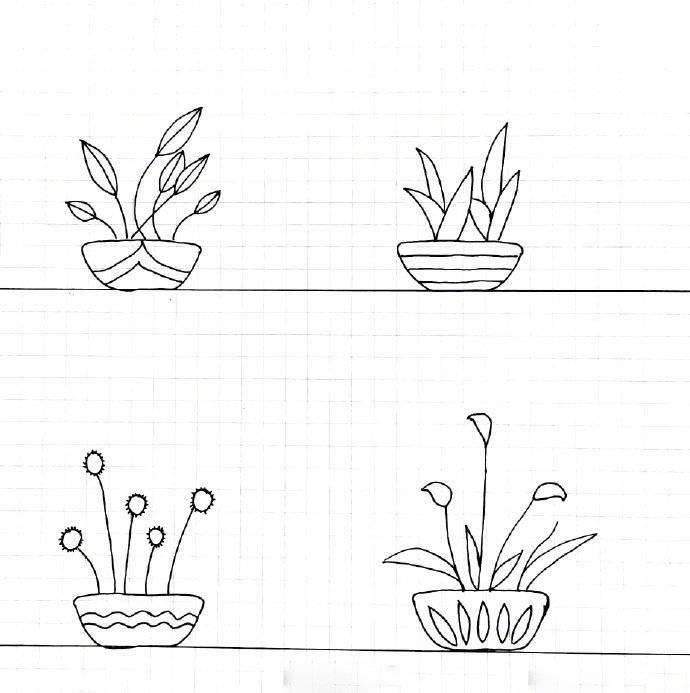 盆栽简笔画图片大全 盆栽简笔画图片大全多肉植物
