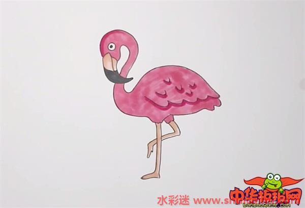 火烈鸟怎么画 火烈鸟简笔画简单彩色