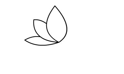 荷花怎么画一步一步的教你简笔画-怎么画荷花简笔画图片大全大图