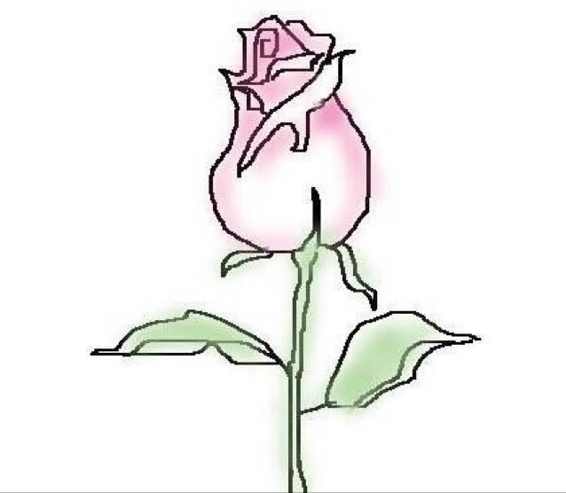 烟草花简笔画 烟草花简笔画简单又漂亮