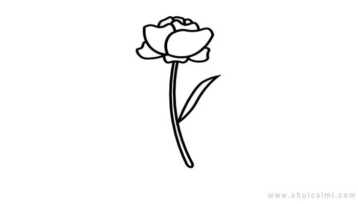 罂粟花简笔画怎么画 罂粟花简笔画图片