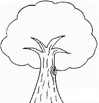 画树的简笔画图片大全 画树的简笔画图片大全带颜色